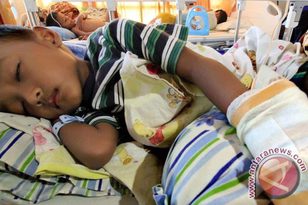Wabah demam berdarah tewaskan 300 orang di Sri Lanka