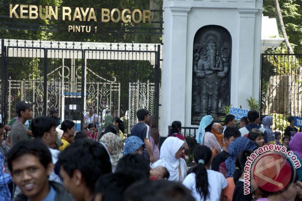 3.500 warga Kota Bogor peluk Kebun Raya