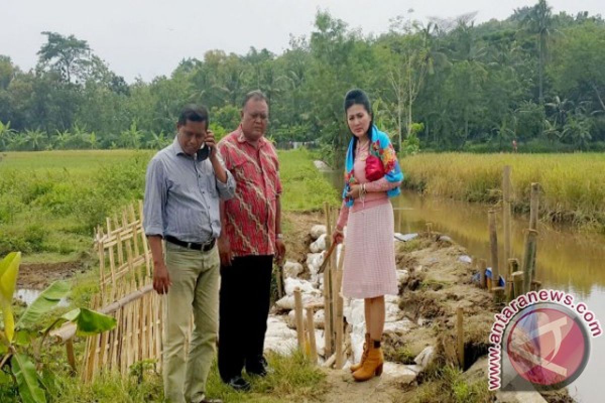 Endang Srikarti tinjau tanggul jebol di Boyolali