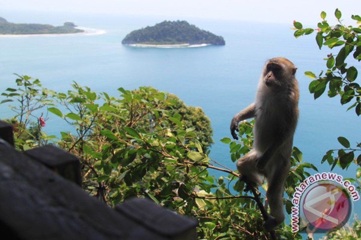 Puncak geurute dipadati wisatawan lokal