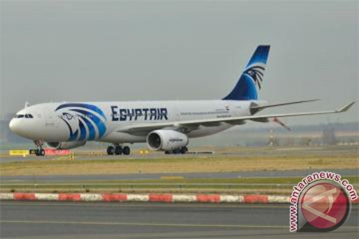 Dua di antara penumpang EgyptAir MS804 adalah balita