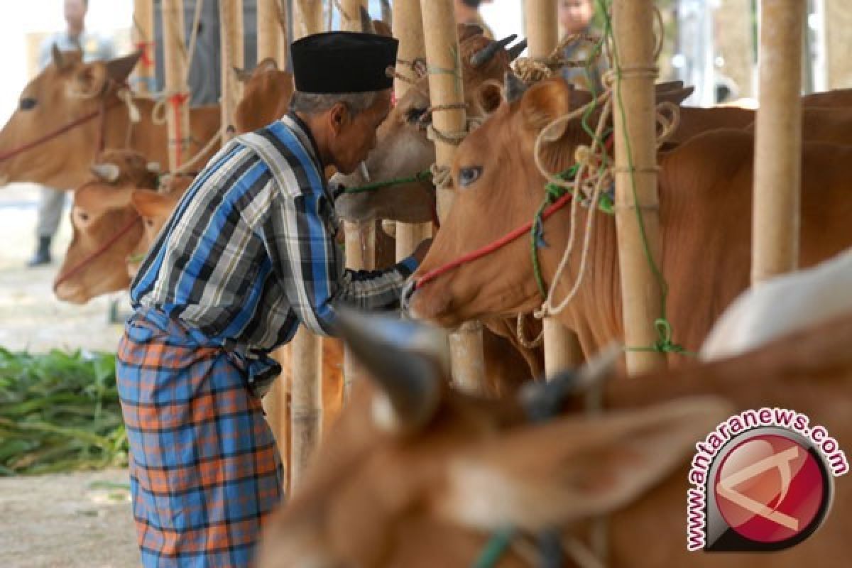 Pengembangan Puskeswan di Sampang Terkendala Anggaran