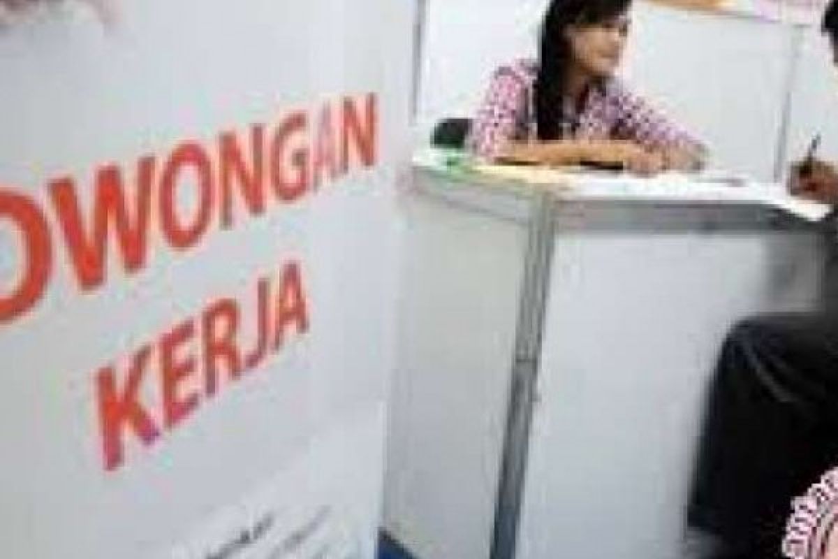 Informasi Lowongan Kerja, Disnaker Pekanbaru Segera Luncurkan Layanan Call Center 