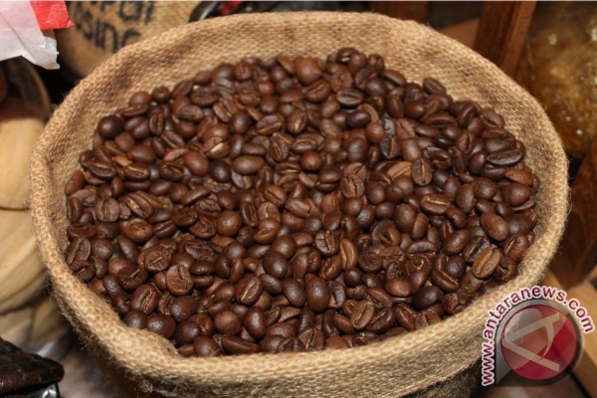 KBRI promosikan kopi Indonesia di Selandia Baru