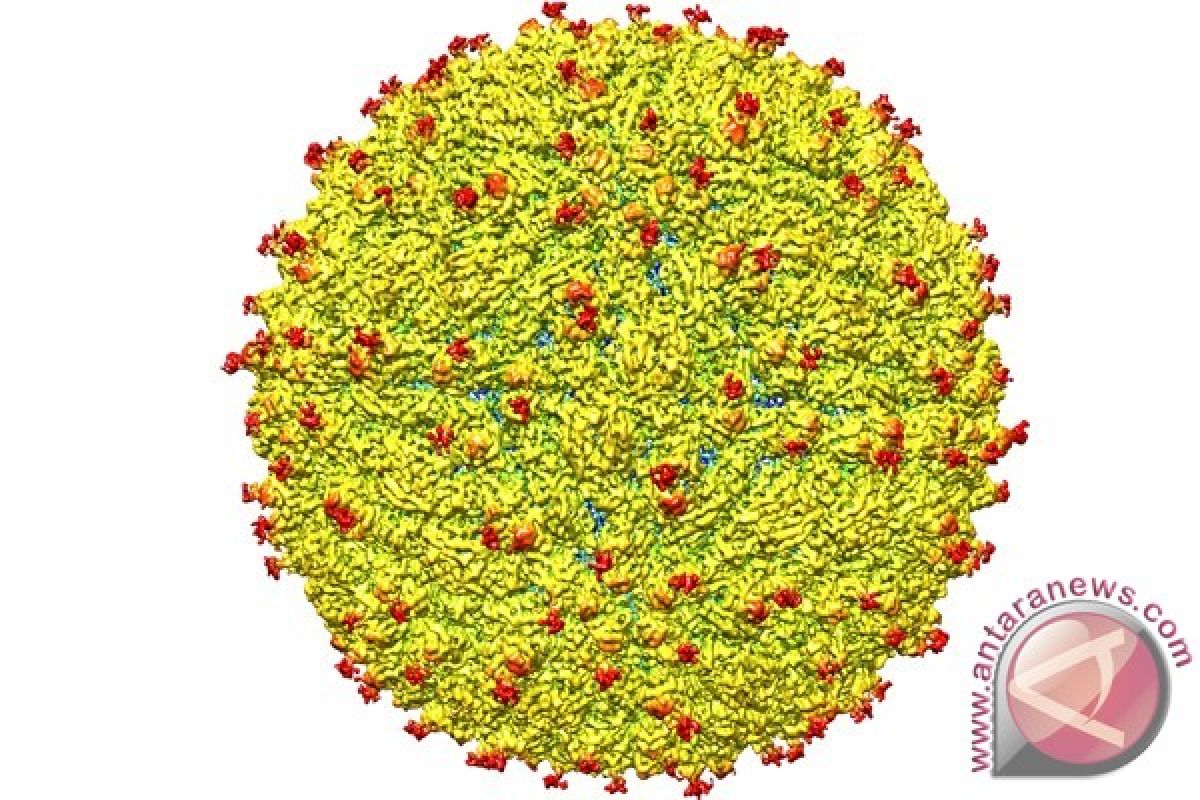 Komisi IX Desak Kemenkes Teliti Virus Zika