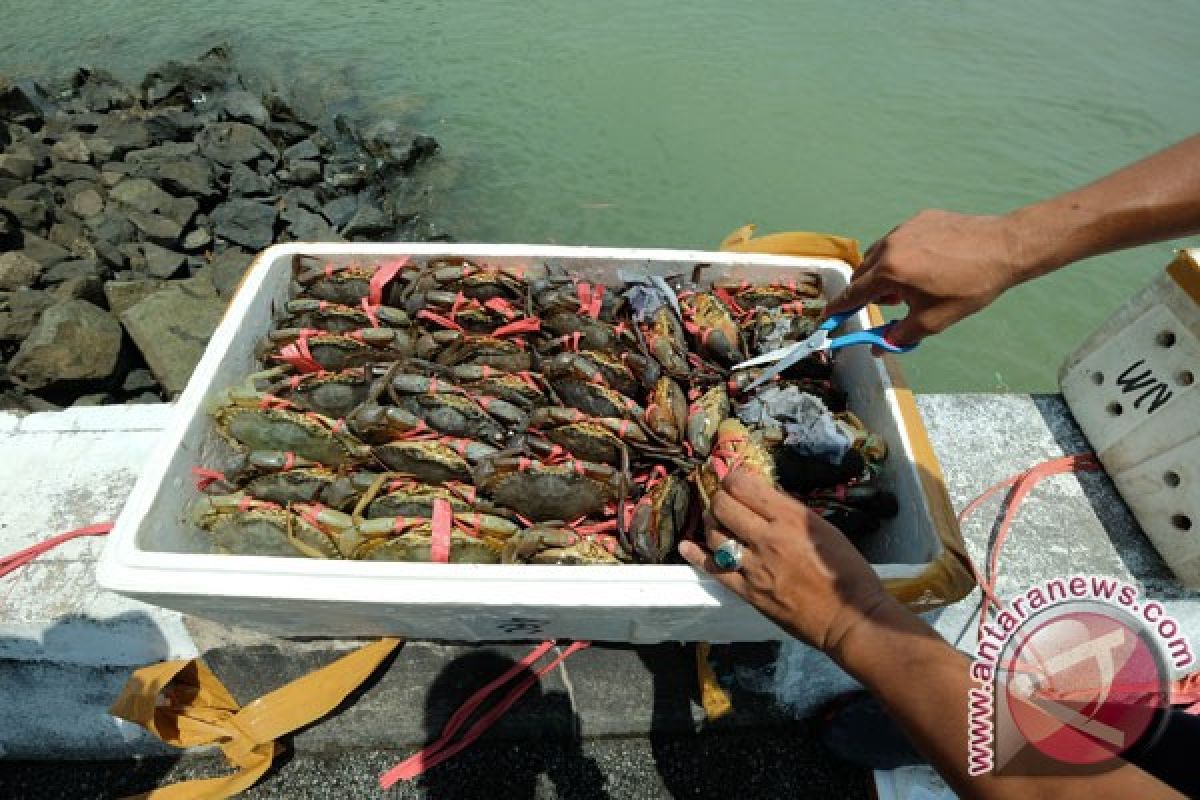 Polisi gagalkan penyelundupan 2.609 kepiting ke Malaysia