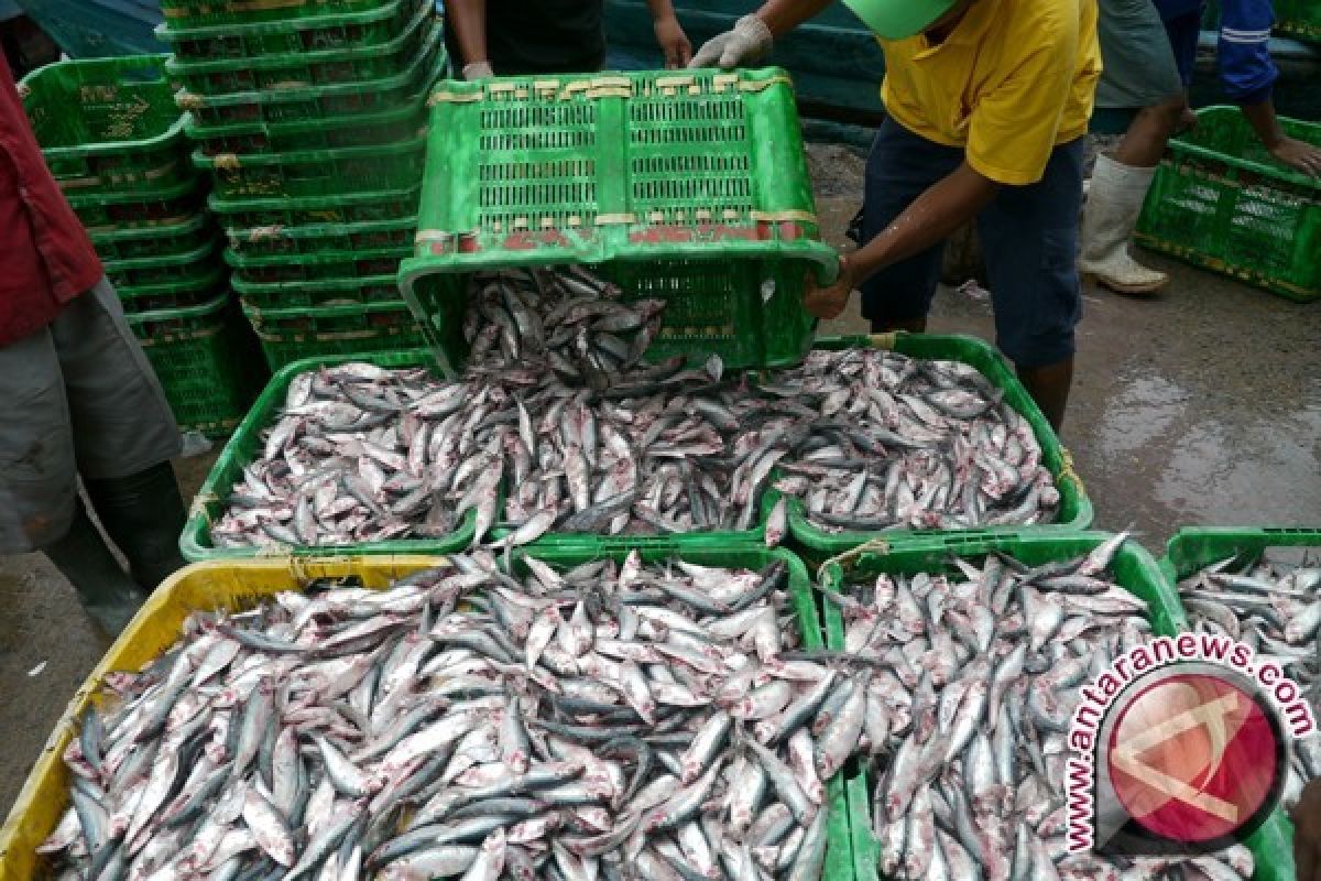 Pemkab Bangka Dukung Pembangunan Sektor Perikanan Tangkap