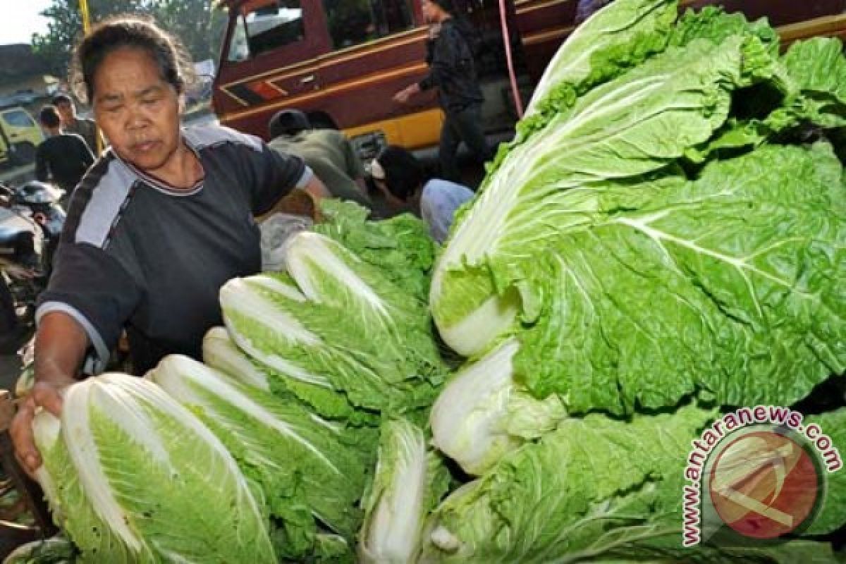 Penurunan harga kebutuhan pokok sebabkan NTB deflasi