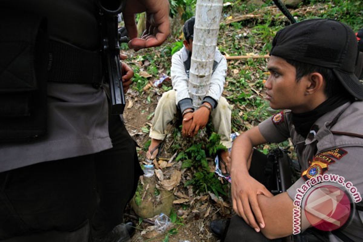 Polres Tanggamus tangkap pengurus ladang ganja