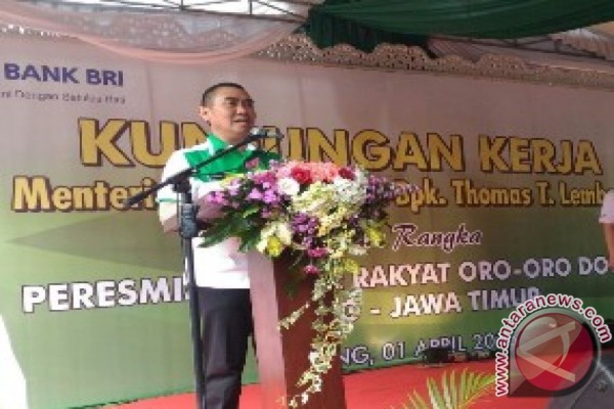 Wali Kota: Manfaatkan Peluang Sektor Ekonomi Kreatif