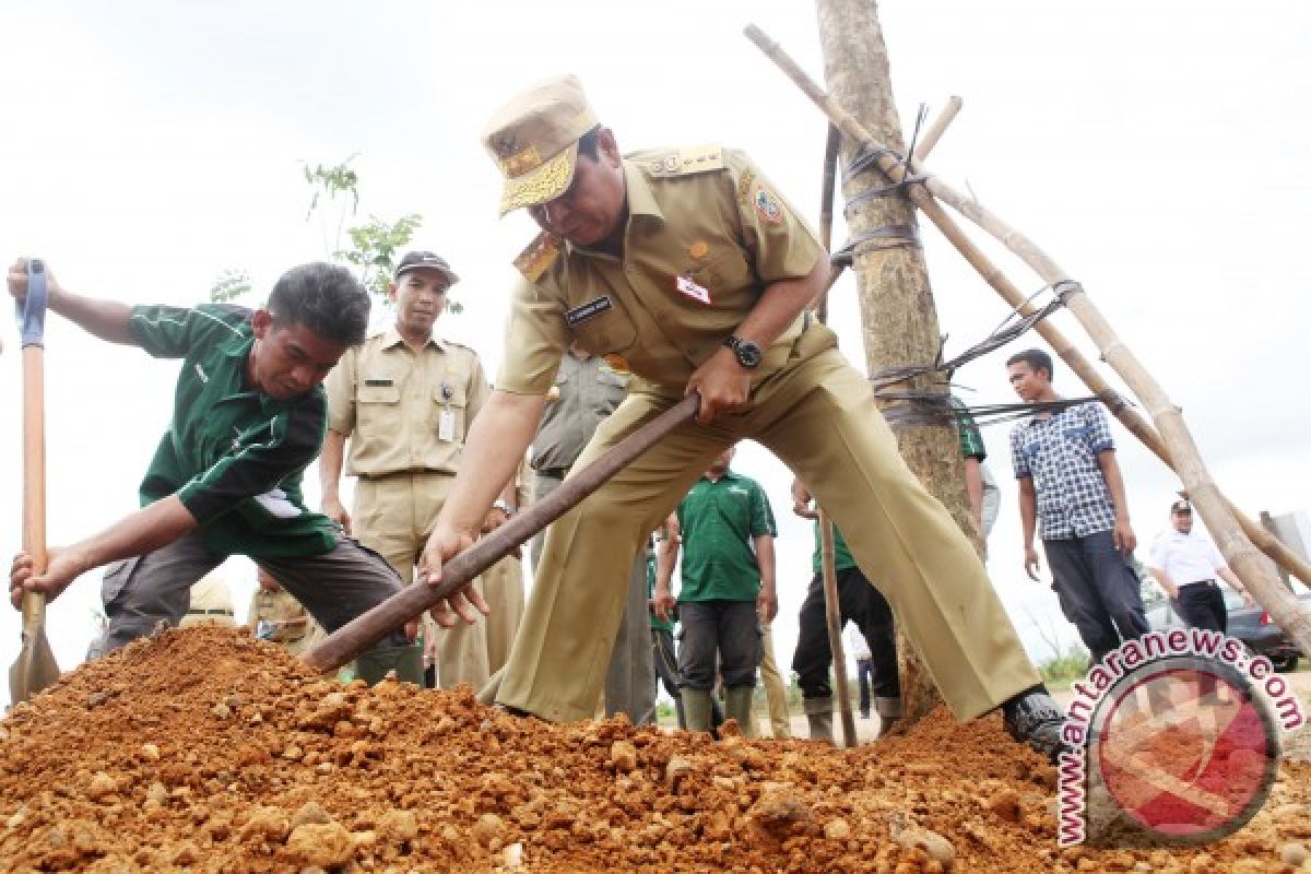 Gubernur Kalsel Gelorakan Gerakan Penanaman Pohon 