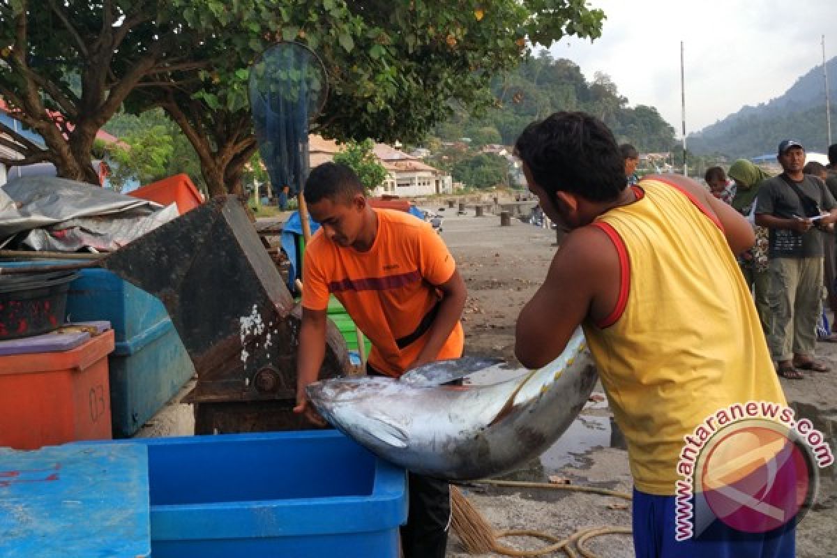 Tangkapan Ikan Tuna di Sabang Meningkat Drastis