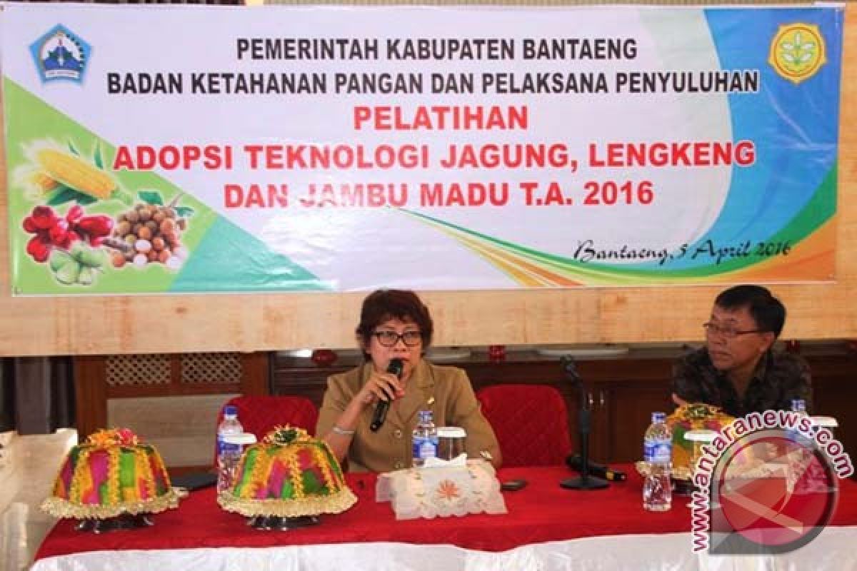 Bantaeng kembangkan perkebunan klengkeng 