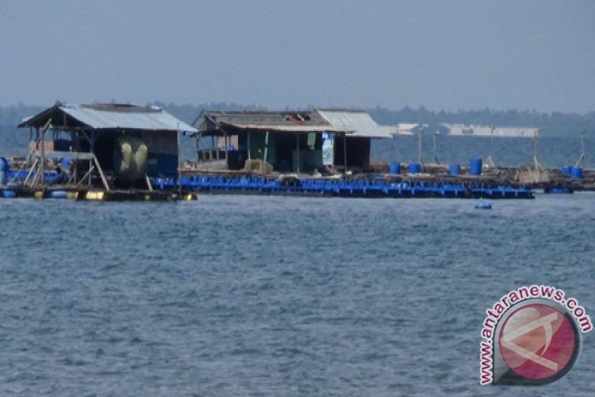 Pemkab Situbondo Rancang Pembangunan Kawasan Budi Daya Kerapu