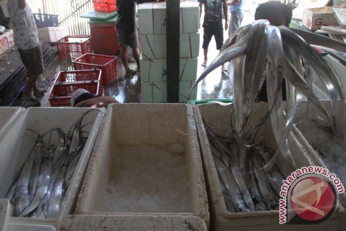 Omzet Perdagangan Ikan Layur di Tulungagung Miliaran