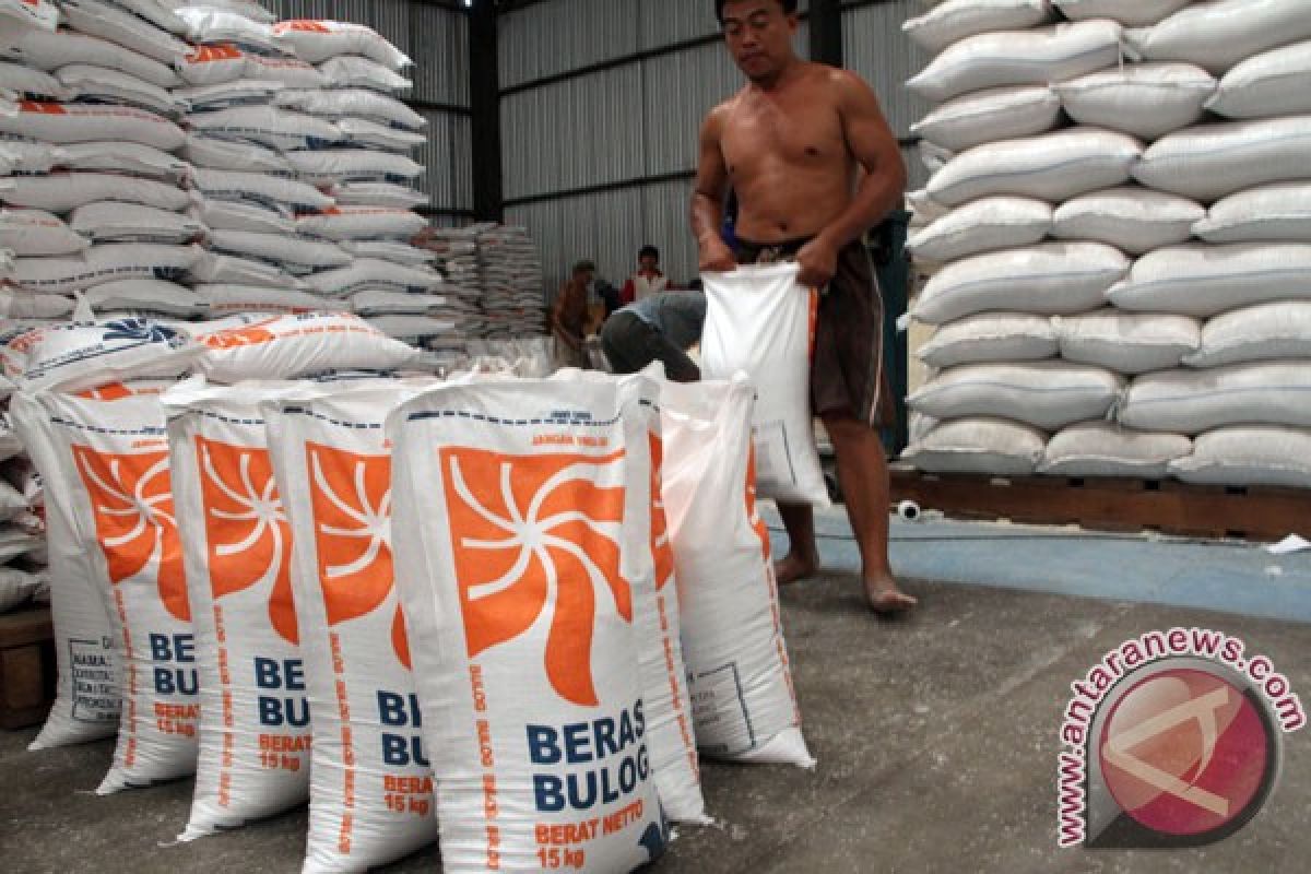 Bulog Merauke sediakan 9.217 ton beras untuk Lebaran