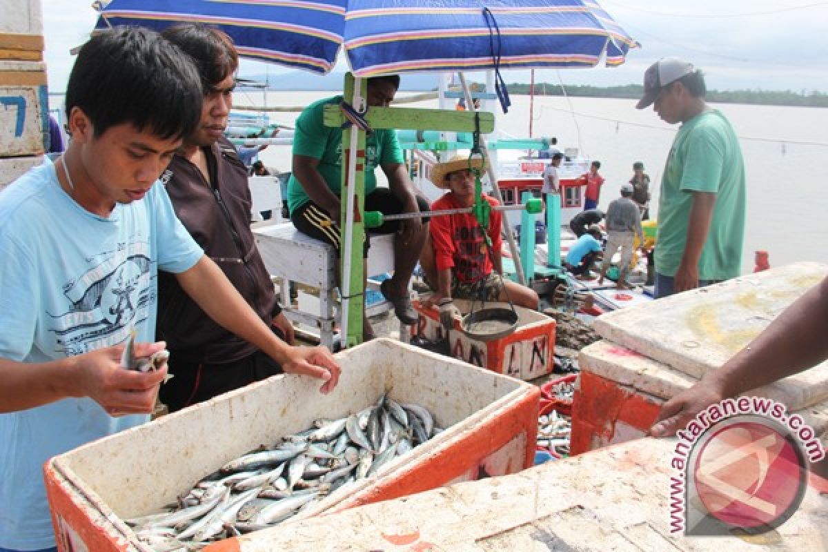 Kotabaru segera bangun pasar ikan modern