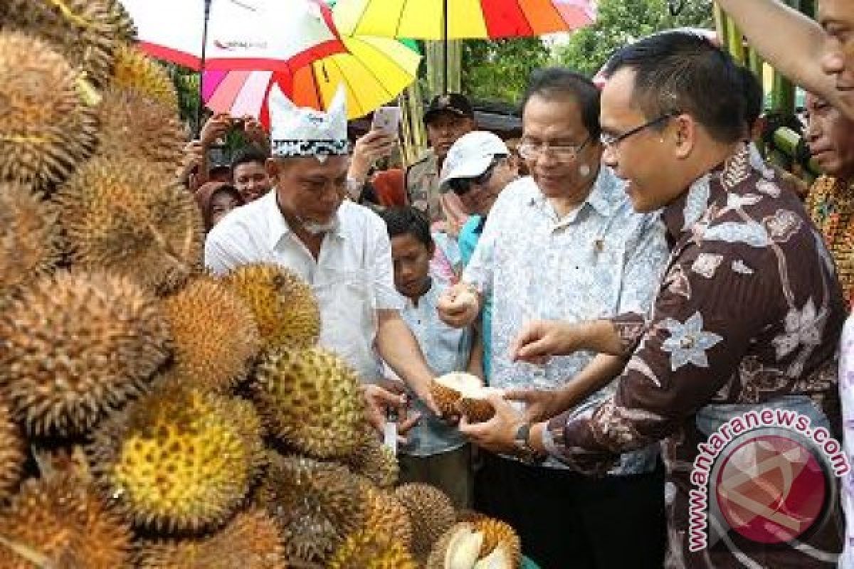 Menko Kemaritiman: Banyuwangi Jadi Contoh Pengembangan Wisata