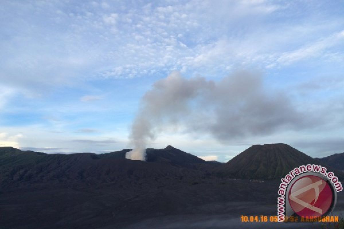 Hujan Abu Vulkanis Gunung Bromo Guyur Probolinggo