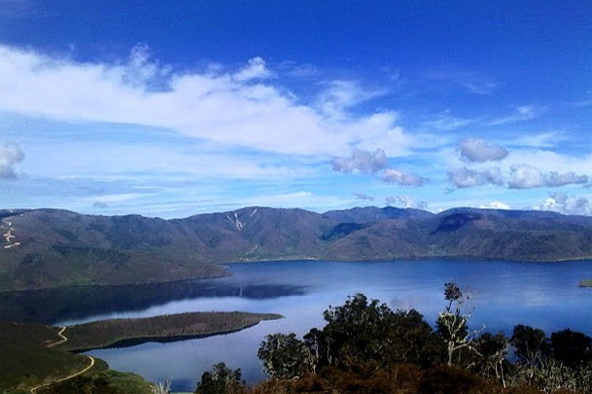 Arfak mountain residents rely on herbal medicine