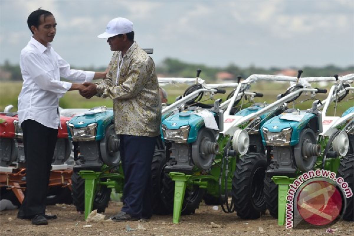 Jokowi meets farmers, inspects agricultural produce