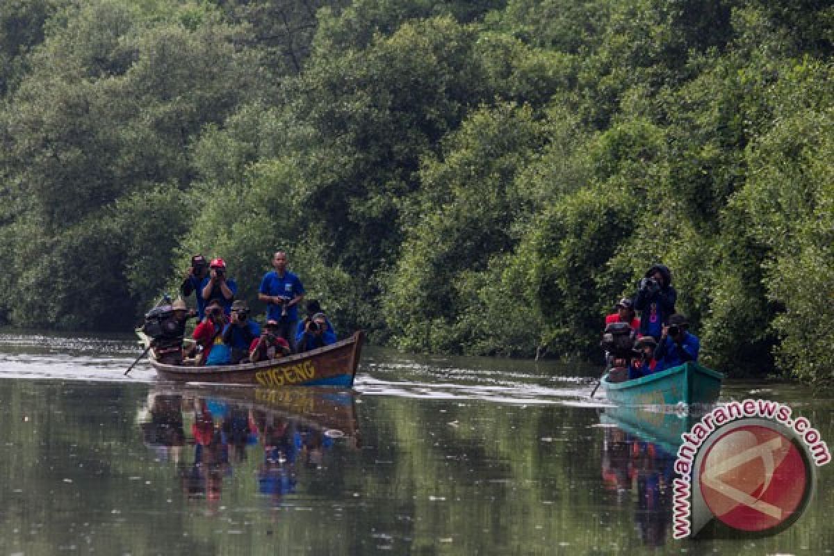 Buah mangrove bisa jadi makanan olahan, seperti yang dibuat komunitas Bengkulu