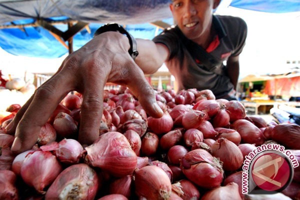 Harga Bawang Merah di Pangkalpinang Cenderung Naik