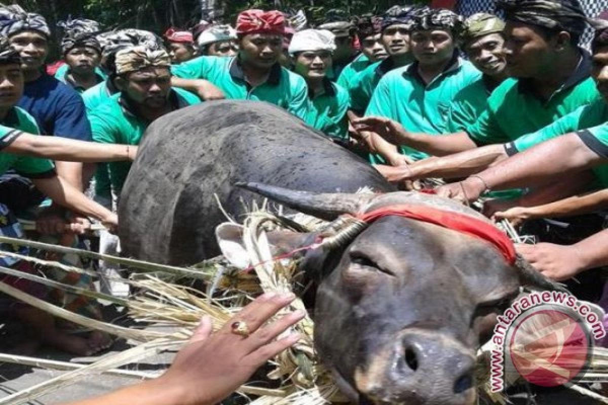 Warga Ulakan Karangasem Gelar Nyepi Adat