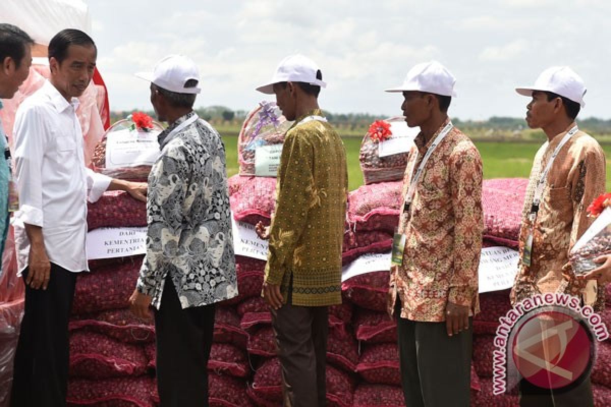 Presiden Jokowi tugaskan BUMN bantu sistem pergudangan bawang