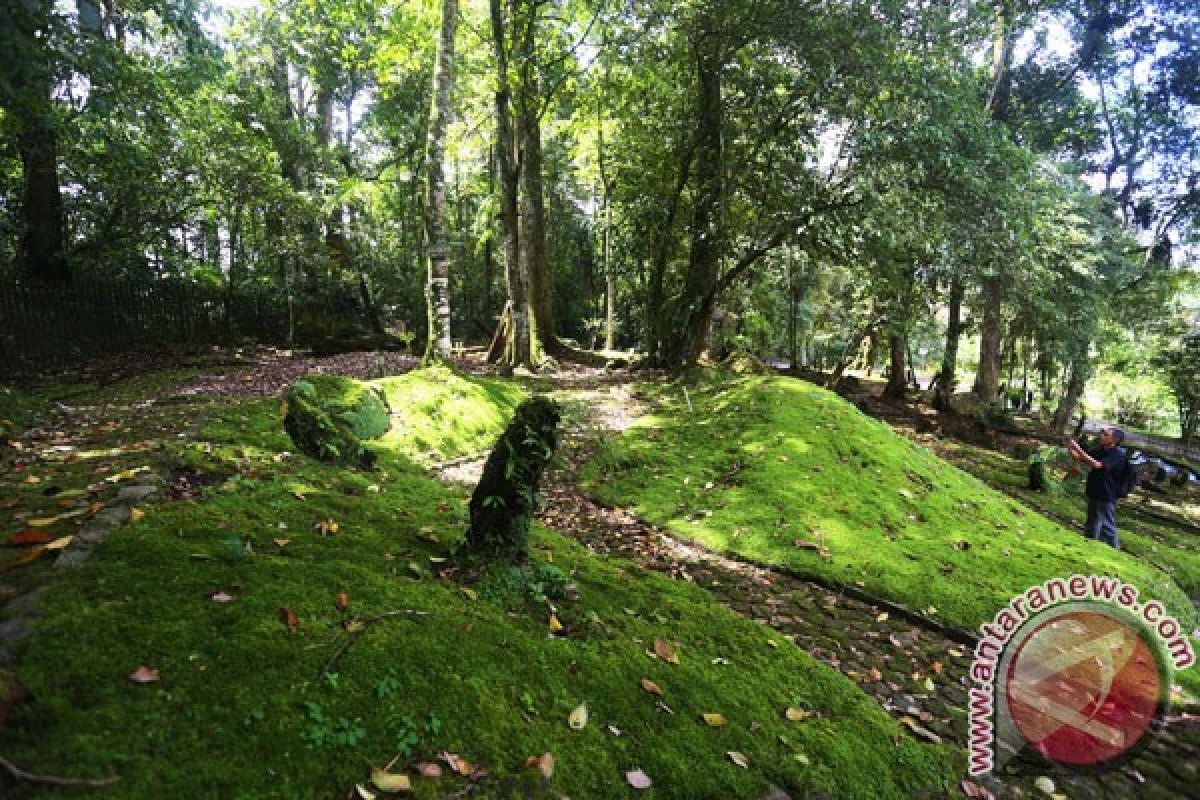 Kebun Raya Cibodas tambah koleksi taman tematik