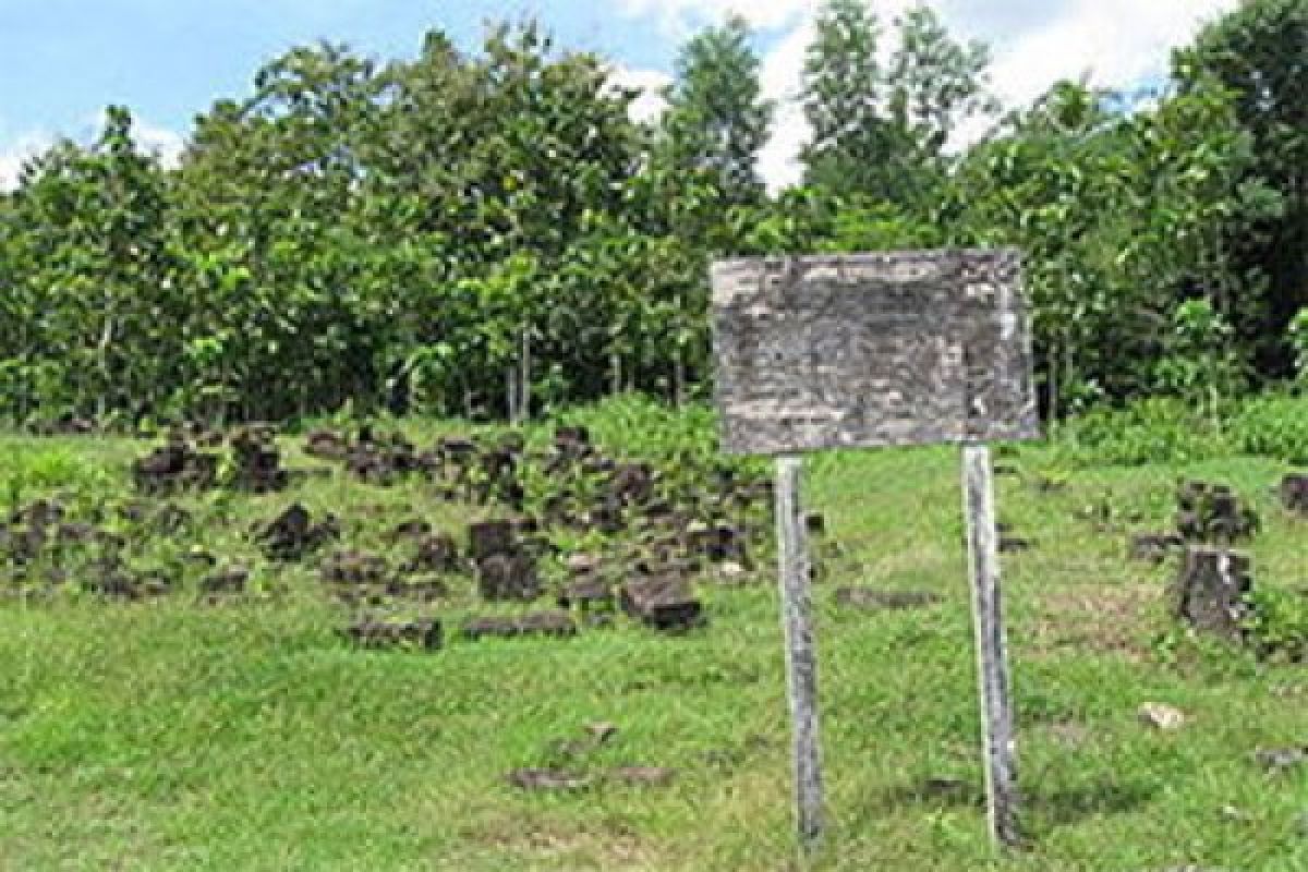 Wisata candi di perbukitan Prambanan mulai dikenal