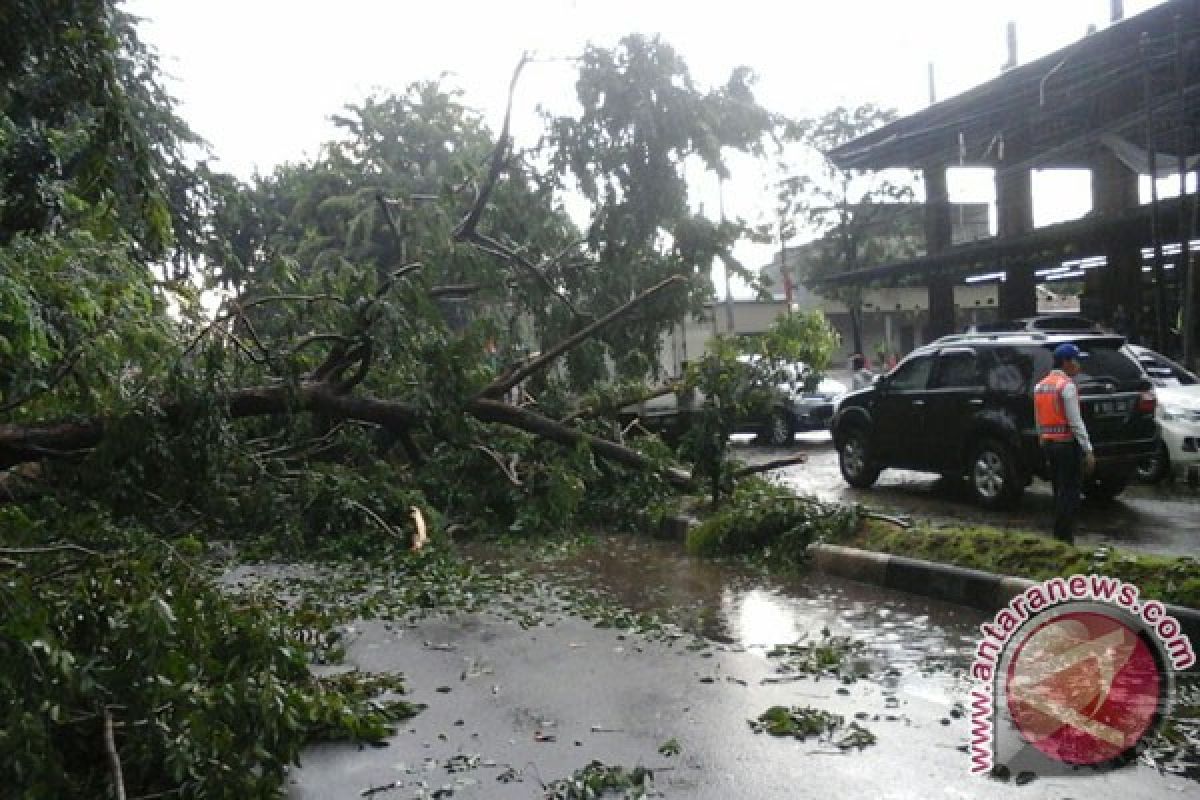 Angin kencang porak porandakan reklame dan pohon di Sukabumi