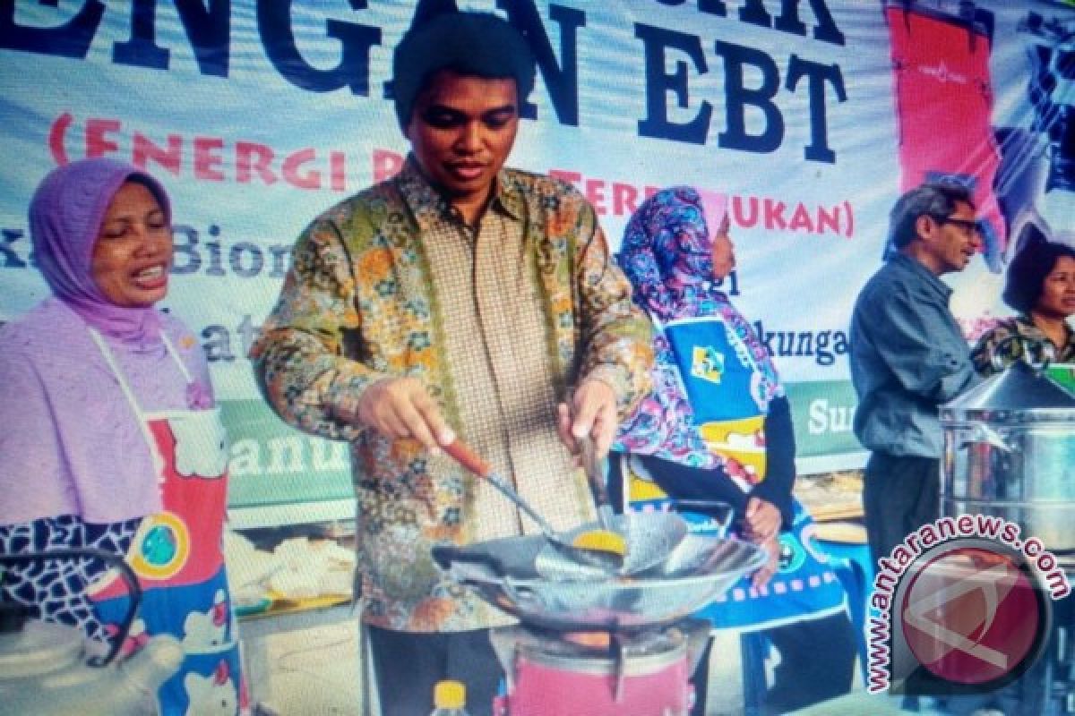 Dewan Energi Nasional Dorong Pemanfaatan Energi Terbarukan