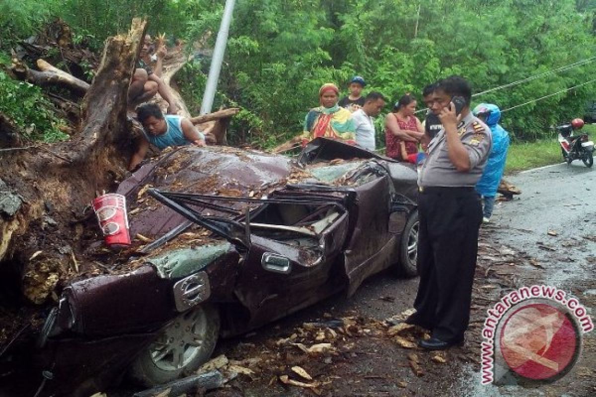 Mobil Xenia Tertimpa Pohon Di Poso