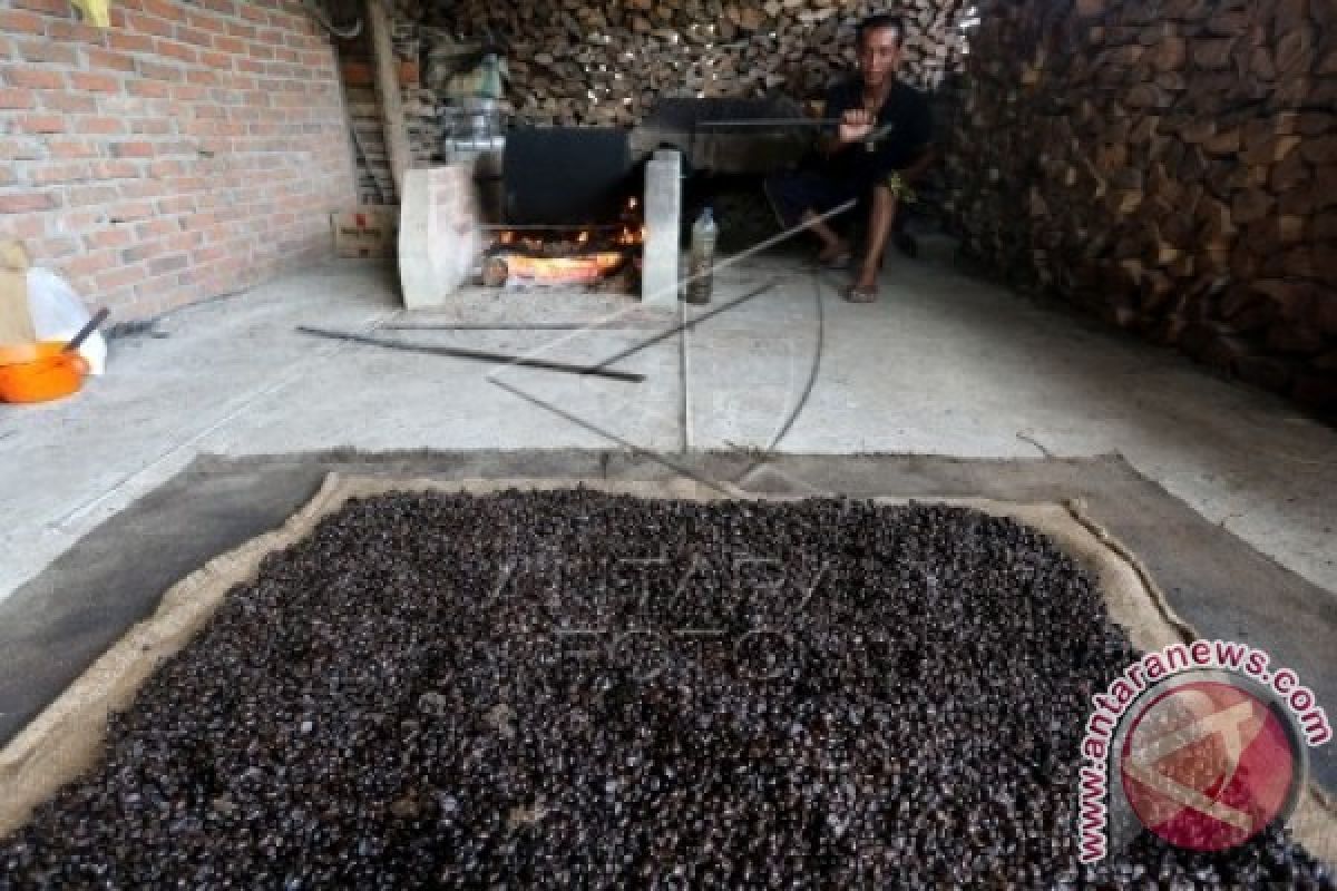 Ekspor kopi Aceh tembus 53,4 juta dolar