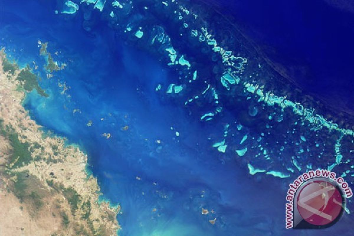 Pemanasan global bisa runtuhkan pertahanan alami Great Barrier Reef