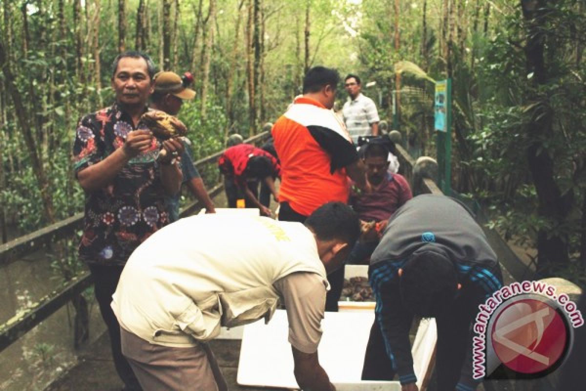 Dinas Perikanan Lepaslkan Kepiting Bertelur