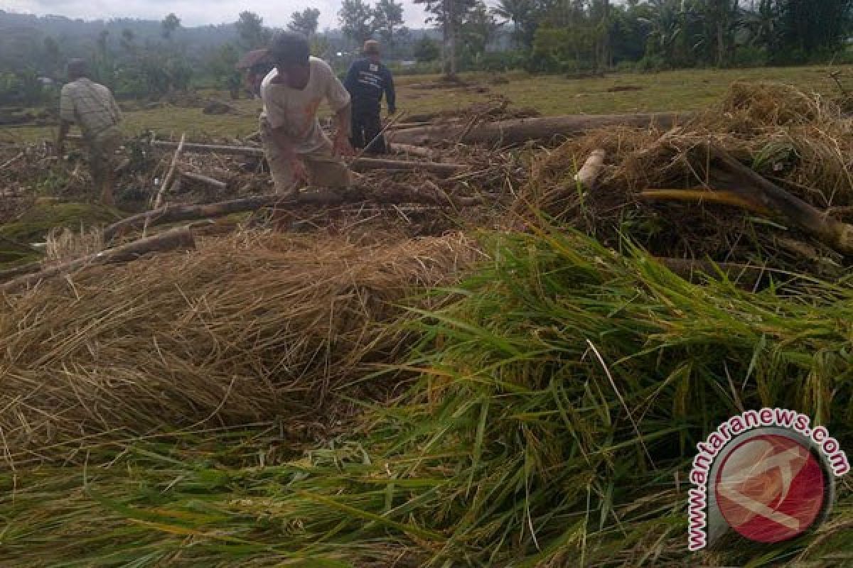 Petani korban banjir harapkan bantuan