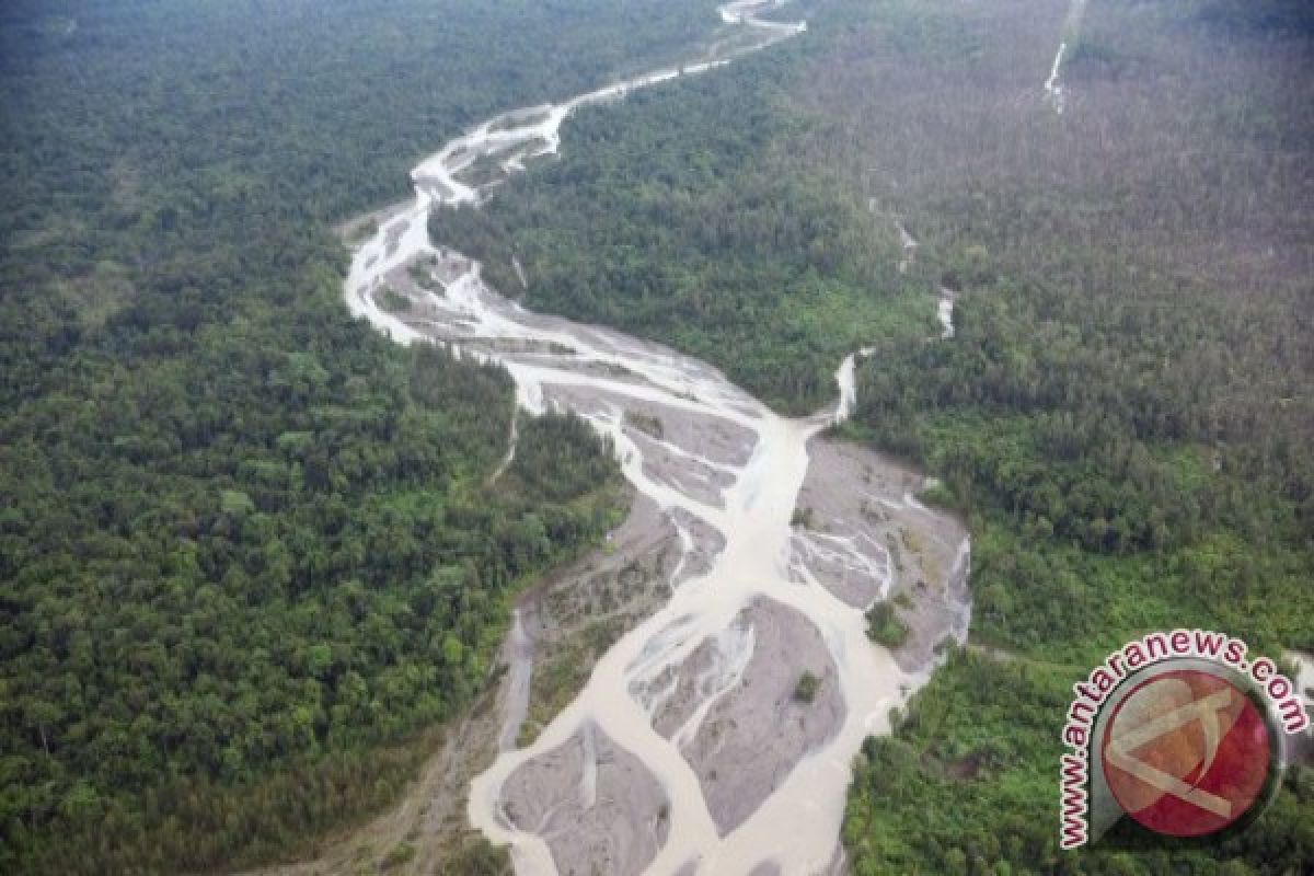 Tokoh: Freeport harus tanggung jawab kerusakan lingkungan