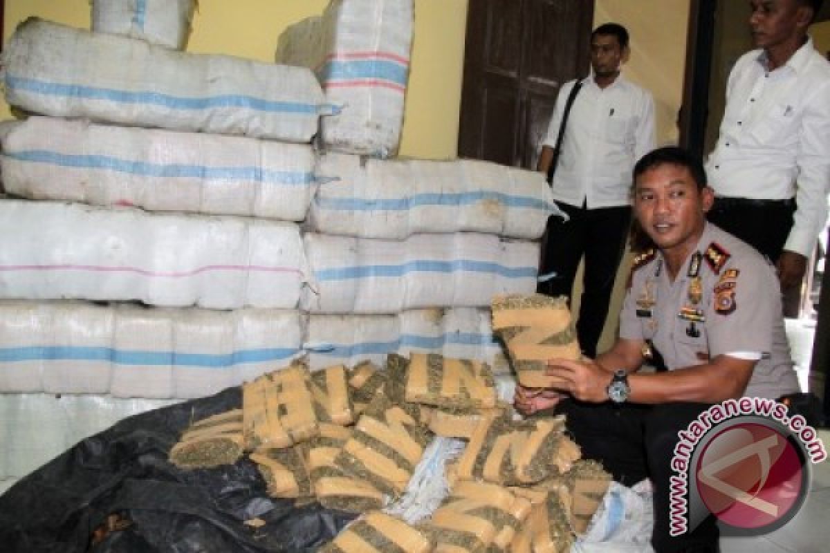 Polres Bukittinggi amankan kurir ganja 15 kilogram