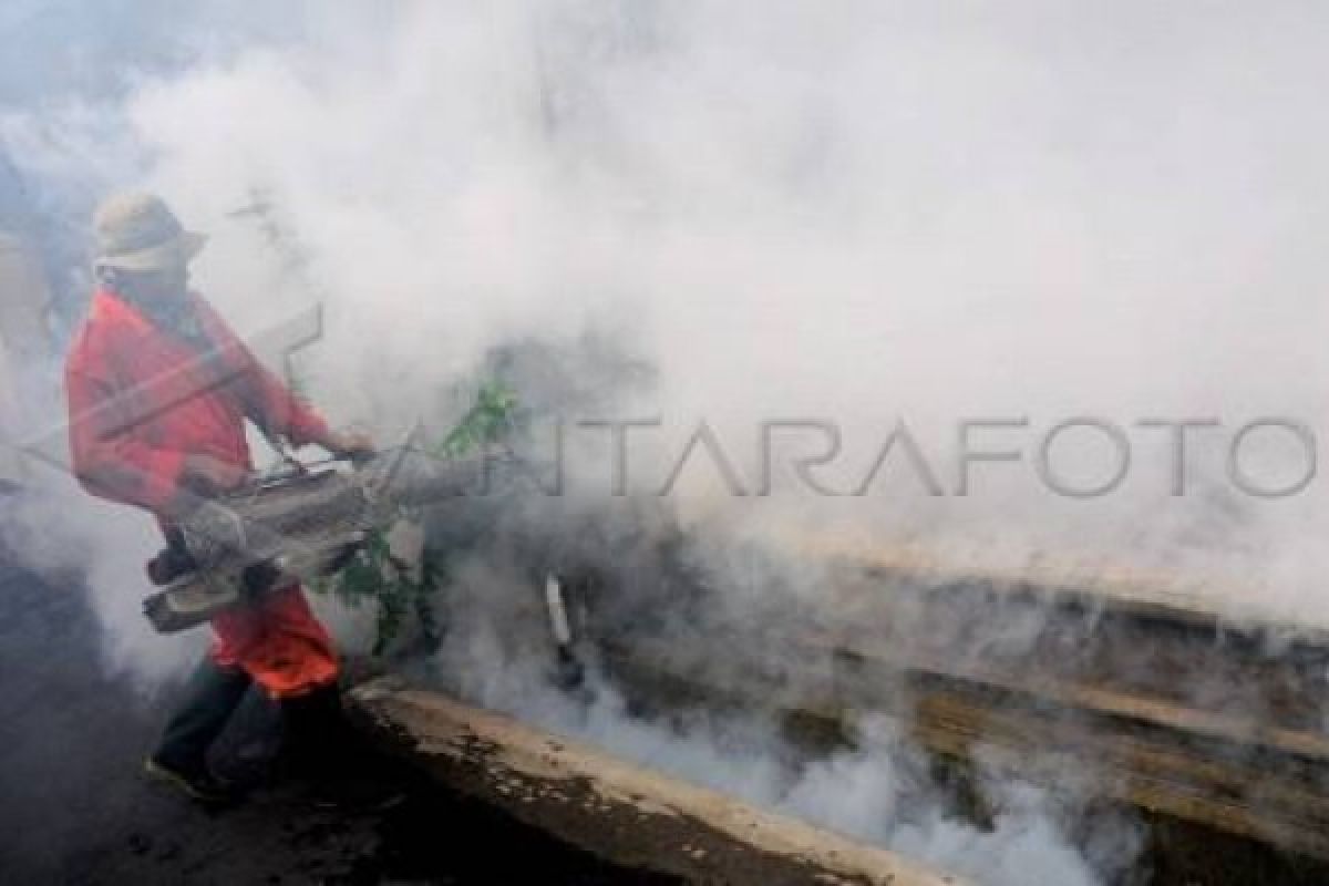 Puncak Musim Hujan, Tiga Penyakit Diwaspadai