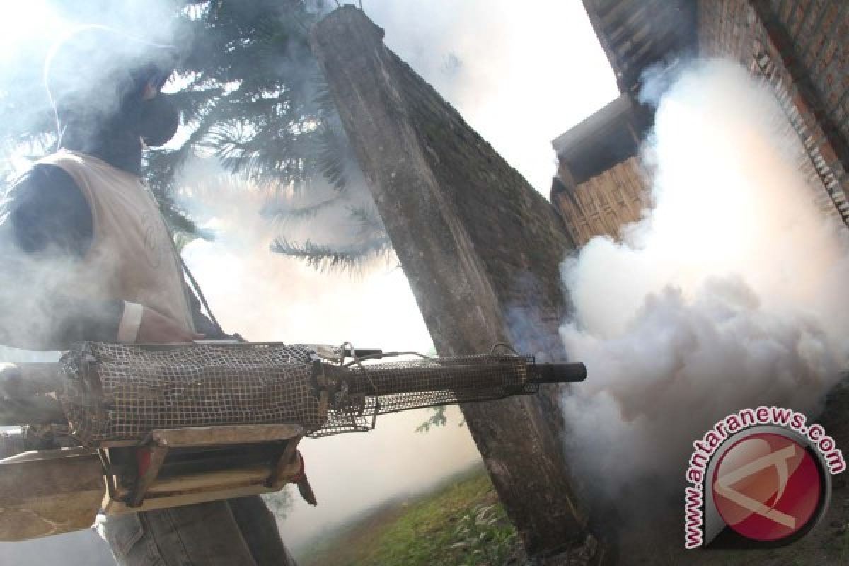 Pasien DB Meninggal, Dinkes Tulungagung Gelar Fogging