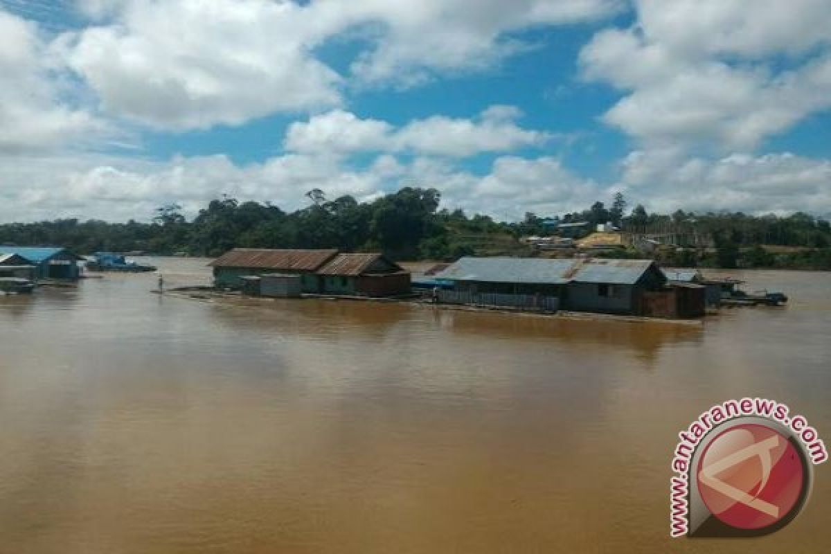 Rumah "Lanting" Di Sungai Barito Direlokasi