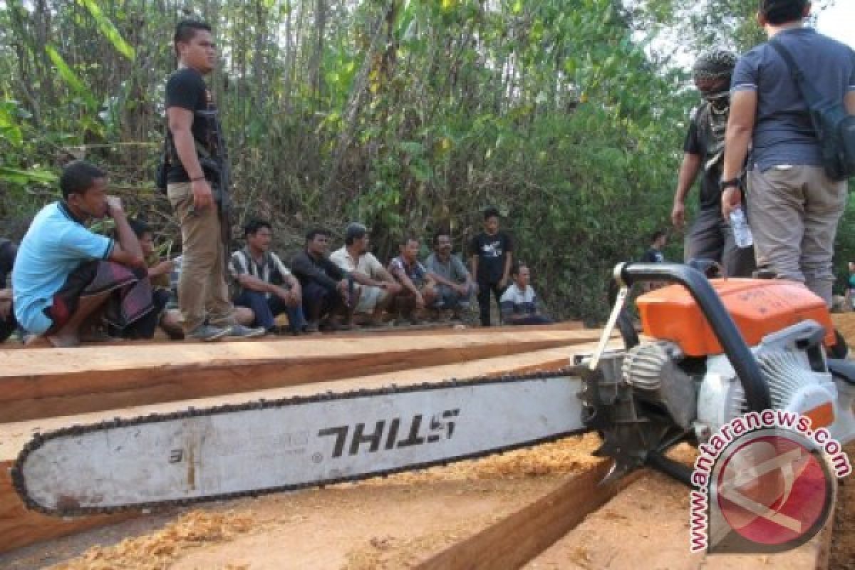 Polisi Aceh Selatan tetapkan tersangka perambahan hutan