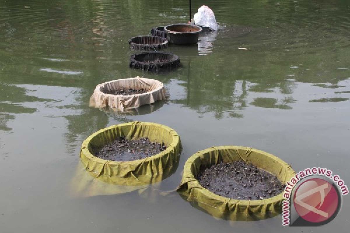 Pengamat: Air Resapan Sungai Tulungagung Tidak Layak Konsumsi