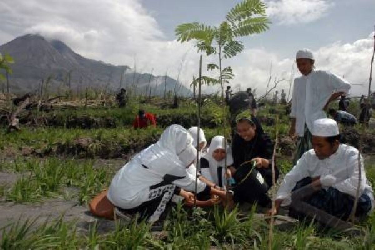 Jateng Targetkan Tanam Dua Juta Pohon di Hutan Rakyat