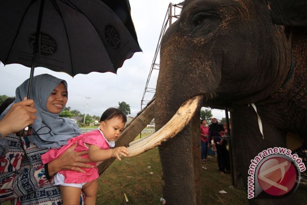 East Lampung to develop 11 tourism attractions