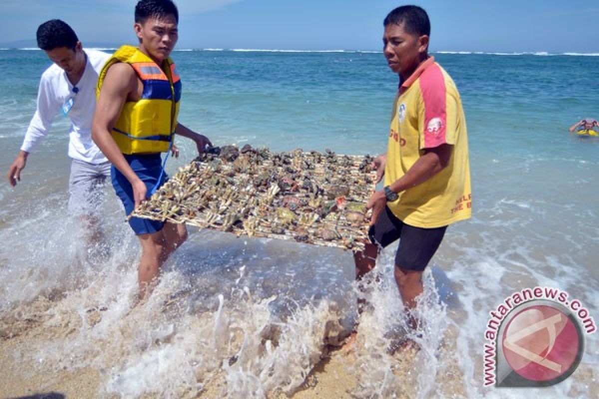 Legislator suggests coral development for fishery exports