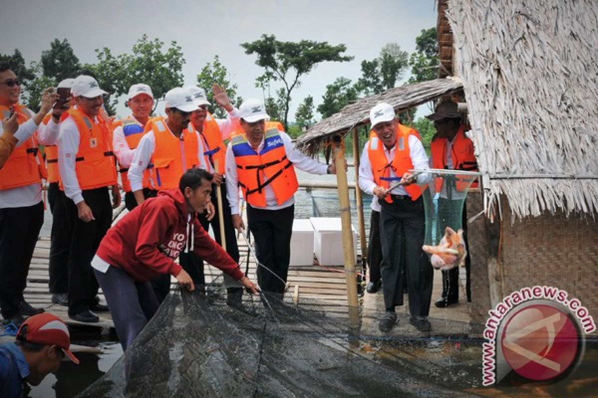 Semen Indonesia Panen Raya Ikan Keramba di Lahan Pascatambang