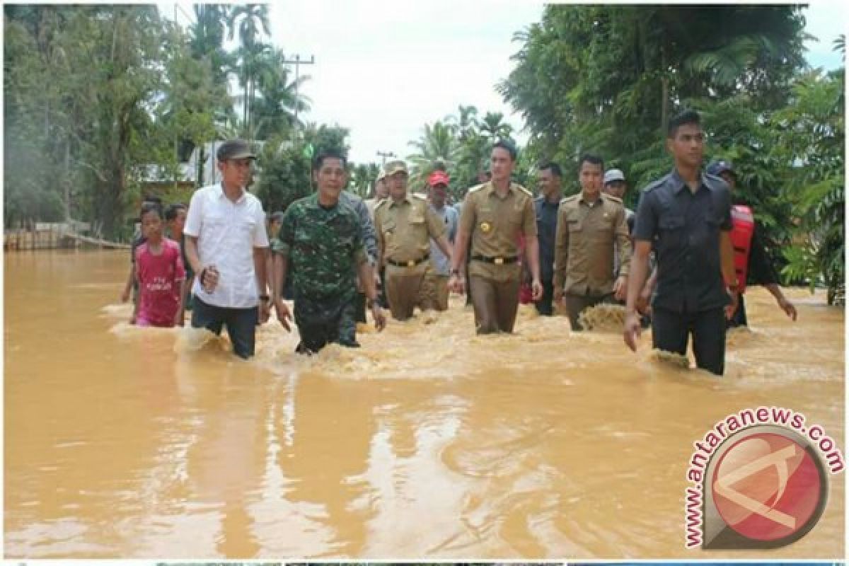 Zola tuding penambang emas liar pemicu banjir